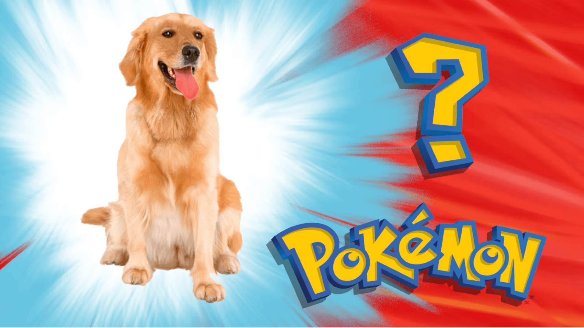 Dog of the Day